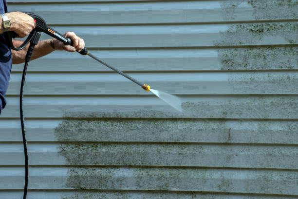 Boat and Dock Cleaning in Chester, VA